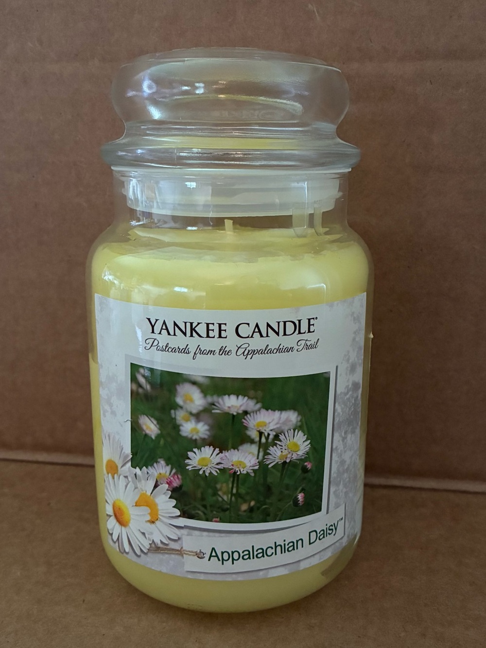 NEW Yankee Candle ~ RETIRED Scent ~ Appalachian Daisy Postcards Collection; 22oz - Picture 5 of 8